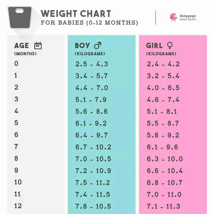 Average Baby Weight Chart Fresh Plz Send Me Weight Chart Of Baby Girl What Should Be the