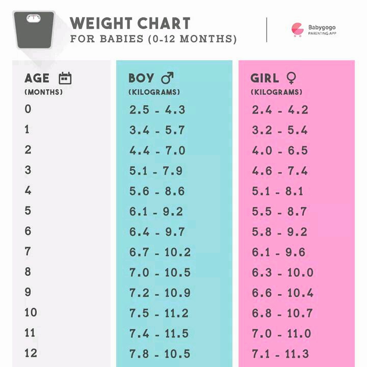 Average Baby Weight Chart Luxury Hi My Daughter is 8 Months Old She Weighs Only 6 5 Kg