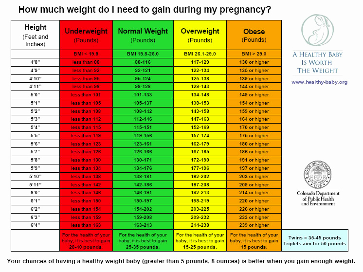 Average Baby Weight Chart Luxury Pregnancy Facts top 14 Facts About Pregnancy