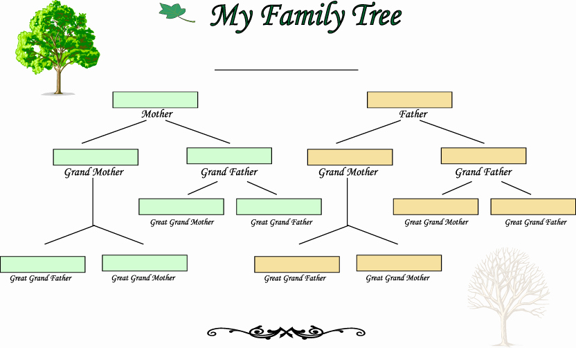 Blank Family Tree Template Awesome Blank Family Tree Template