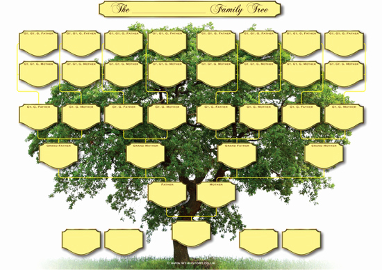 Blank Family Tree Template Beautiful A3 Blank Family Tree Charts