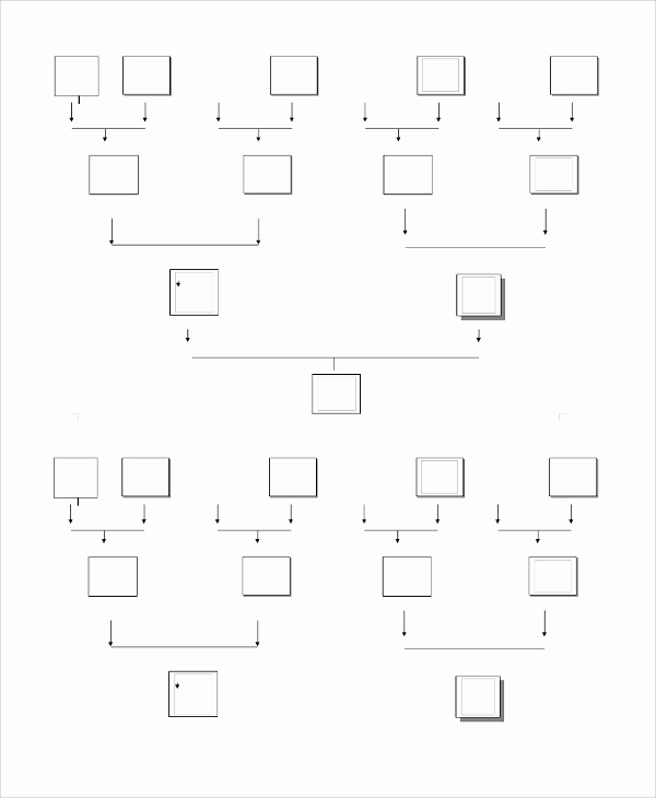 Blank Family Tree Template Beautiful Sample Blank Family Tree Template 8 Free Documents