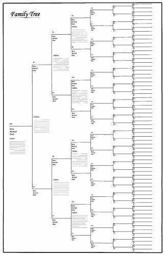 Blank Family Tree Template Elegant Family Tree Chart