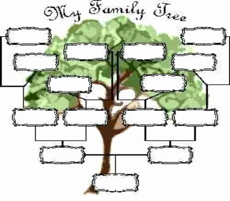 Blank Family Tree Template Lovely Blank Family Tree Page View Full Size