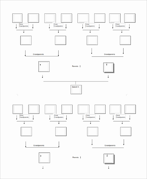 Blank Family Tree Template Luxury Sample Blank Family Tree Template 8 Free Documents