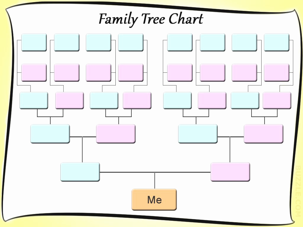 Blank Family Tree Template Unique Free Editable Family Tree Template Daily Roabox