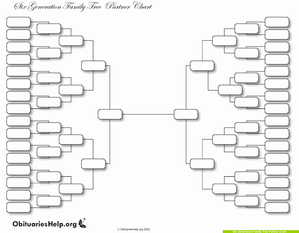 Blank Family Tree Template Unique why A Family Tree Template is the Perfect Gift