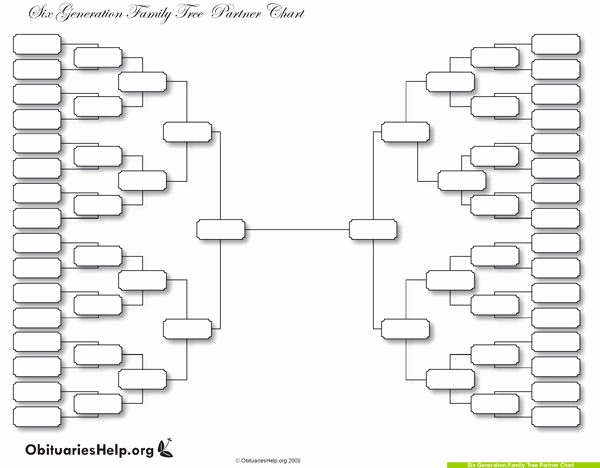 Blank Family Tree Template Unique why A Family Tree Template is the Perfect Gift