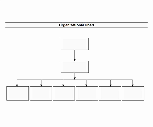 Organizational Chart Template Word Elegant 10 organizational Chart Template Download Free
