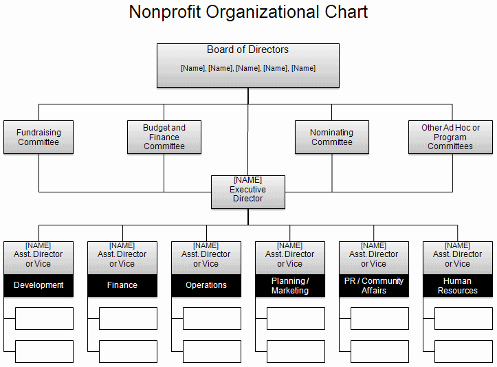 Organizational Chart Template Word New organizational Chart Template