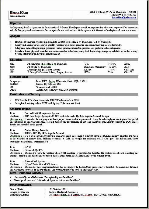 1 Page Resume Template Unique E Page Resume format