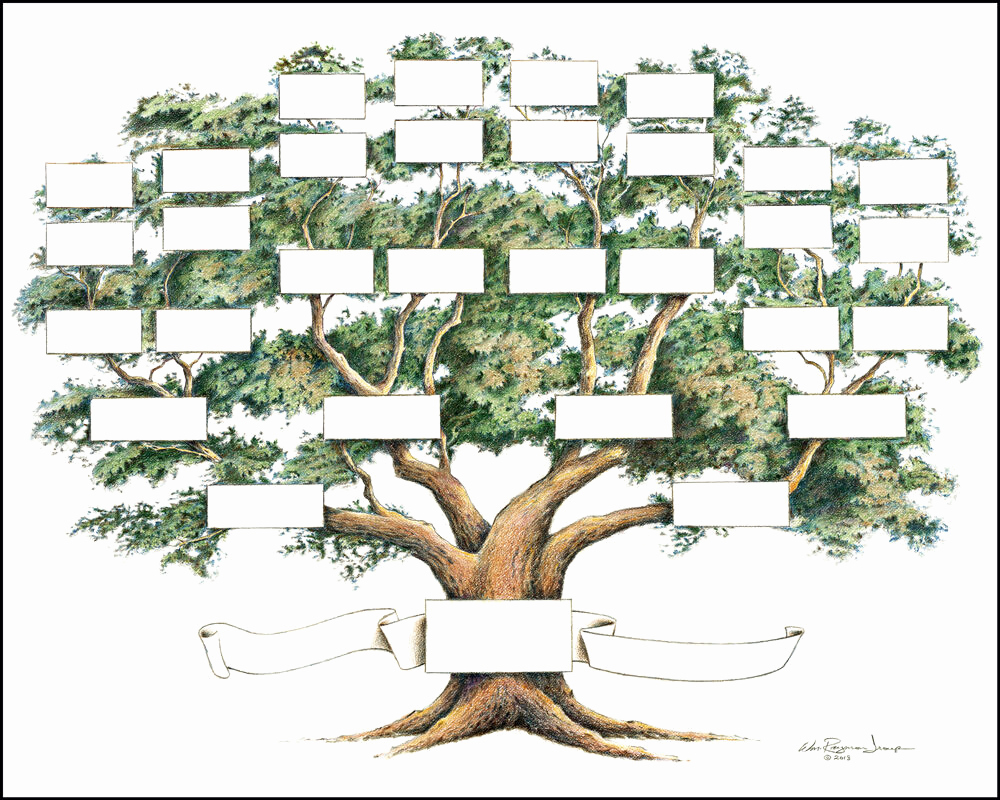 4 Generation Pedigree Chart Fresh Family Tree Chart 5 to 6 Generations Genealogy 14x18