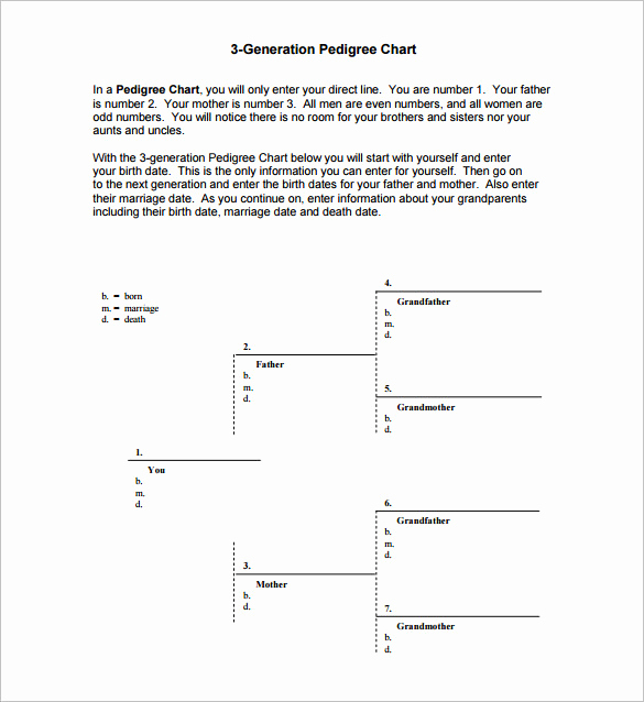 4 Generation Pedigree Chart Fresh Pedigree Chart Template – 9 Free Sample Example format