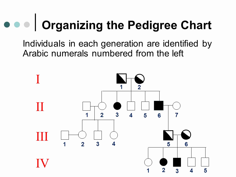 4 Generation Pedigree Chart New A Family History Of Genetics Ppt