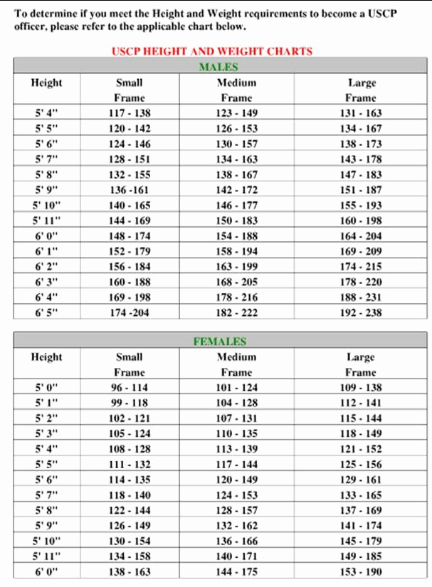 Age and Weight Chart Lovely the 25 Best Height Weight Charts Ideas On Pinterest