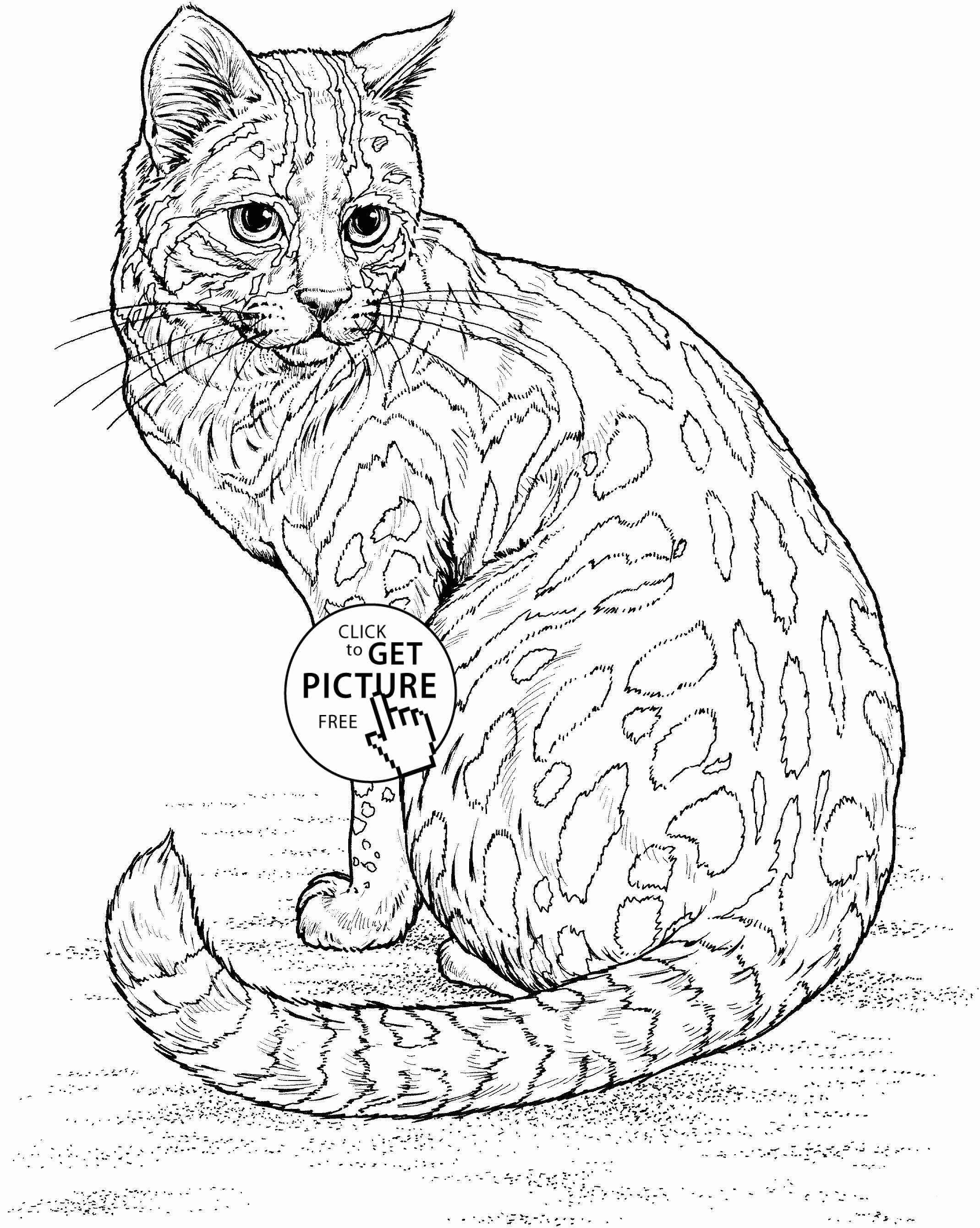 Animal Pictures to Color Fresh Realistic Cat Coloring Page for Kids Animal Coloring