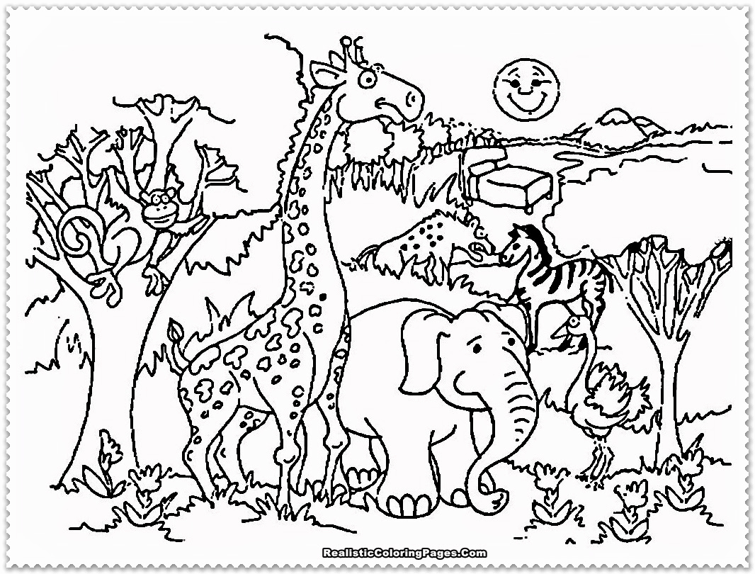 Animal Pictures to Color New Zoo Animal Coloring Pages