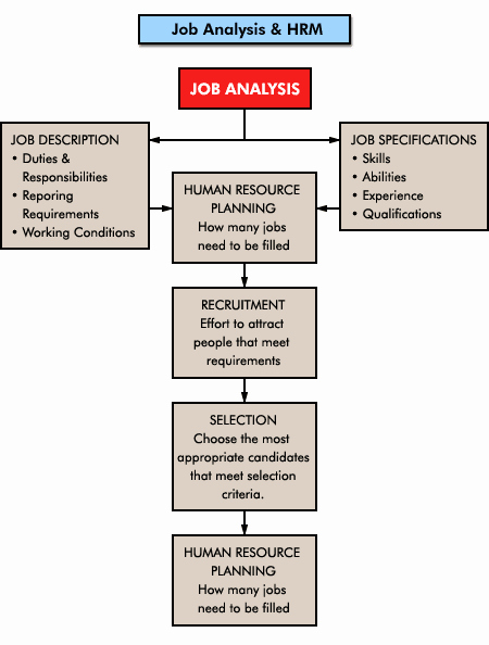 Assistant Property Manager Job Description Inspirational Apartment Manager Job Description Resume
