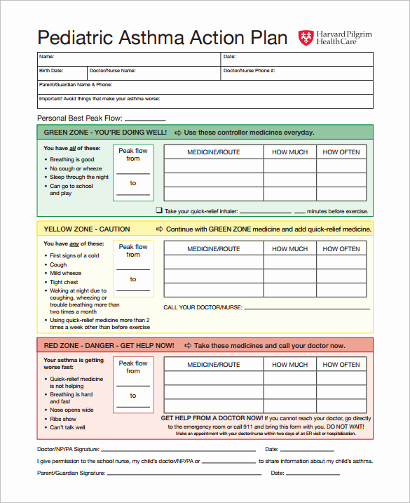 Asthma Action Plan form Awesome Action Plan Template 110 Free Word Excel Pdf