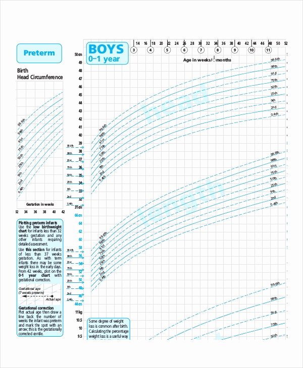 Baby Growth Chart Boys Luxury 8 Baby Weight Growth Chart Templates Free Sample