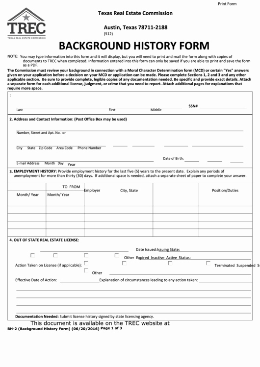 Background Check form Template Free Elegant 83 Background Check form Templates Free to In Pdf