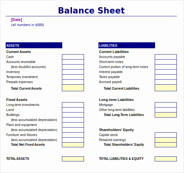 Balance Sheet Example Excel Unique 18 Sample Balance Sheets
