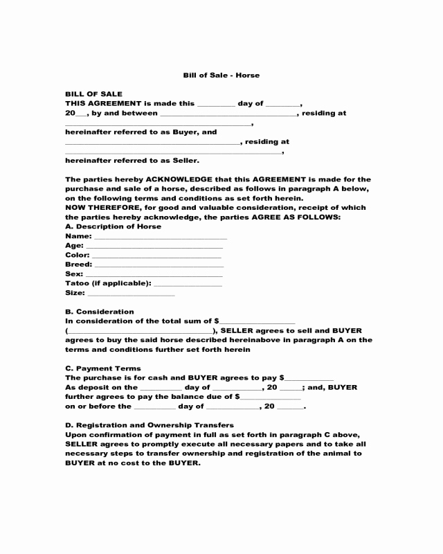 Bill Of Sale for Horse Awesome 2019 Horse Bill Of Sale form Fillable Printable Pdf