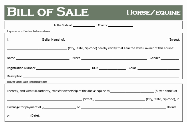 Bill Of Sale for Horse Awesome Free Horse Equine Bill Of Sale Template All States F