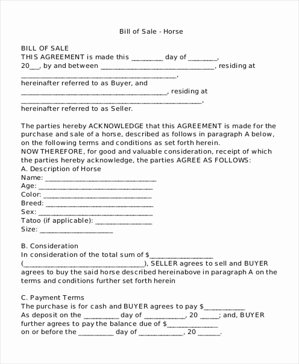 Bill Of Sale for Horse Beautiful Sample Bill Of Sales 10 Free Documents In Pdf