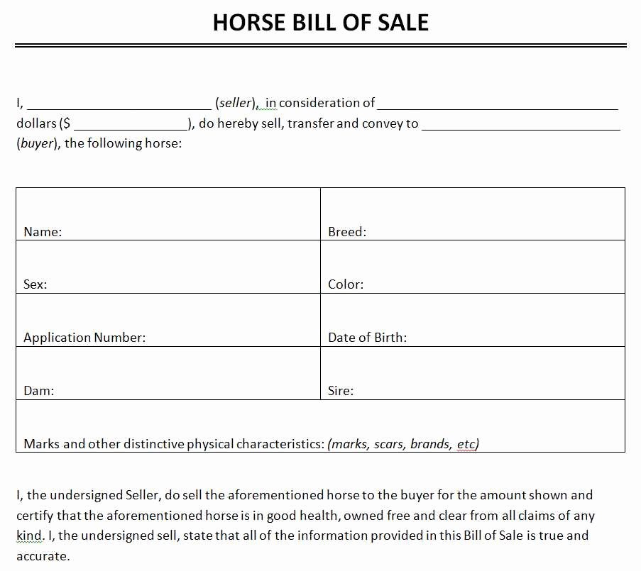Bill Of Sale for Horse Best Of Free Horse Bill Sale Template