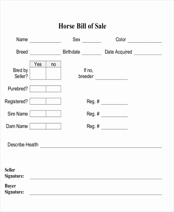 Bill Of Sale for Horse Elegant 9 Horse Bill Of Sale Examples In Word Pdf