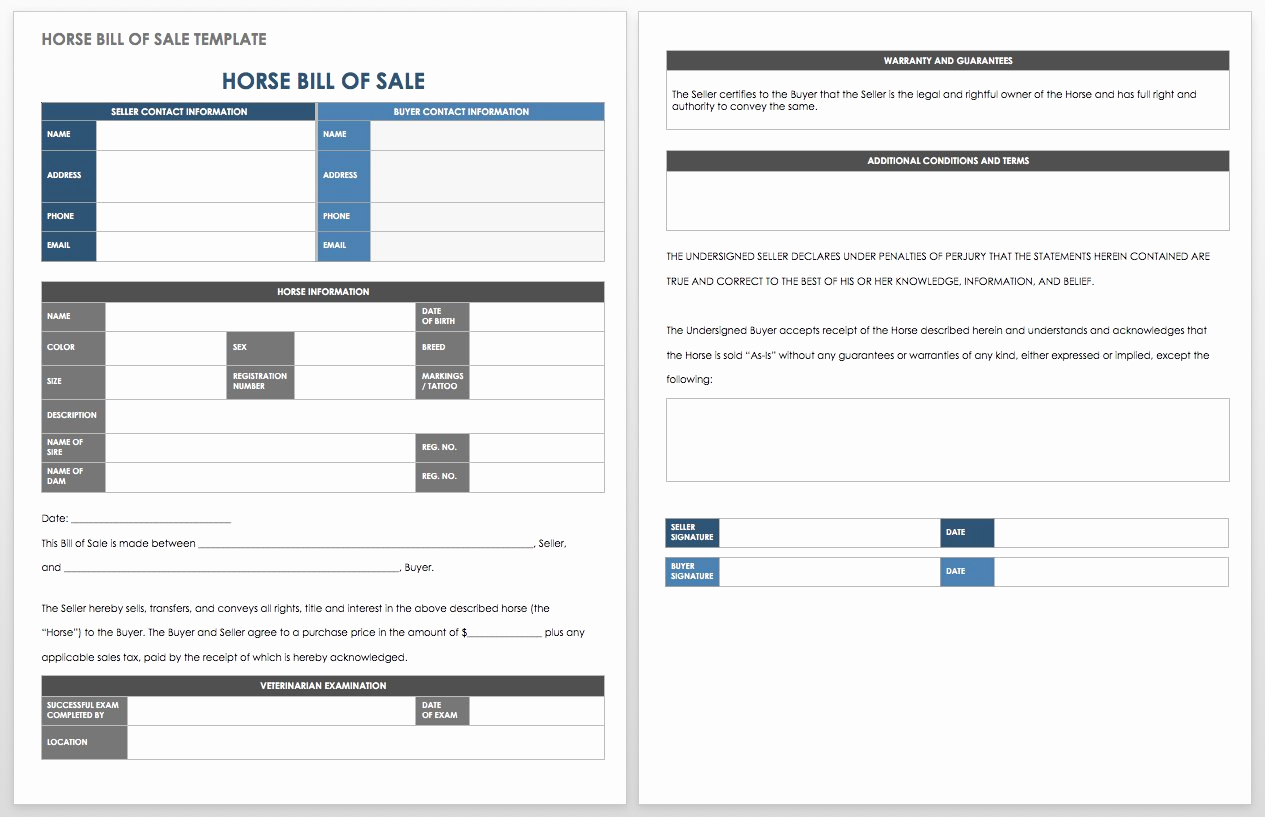 Bill Of Sale for Horse Fresh 15 Free Bill Of Sale Templates
