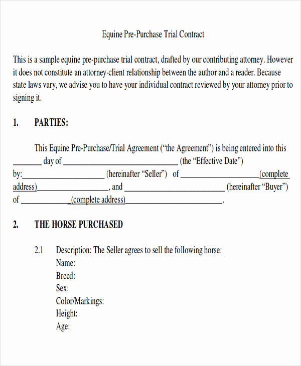 Bill Of Sale for Horse Inspirational 9 Horse Bill Of Sale Examples In Word Pdf