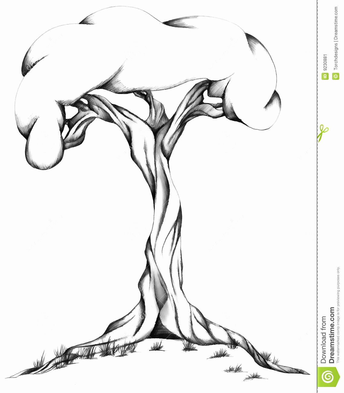 Black and White Illustration New Twisted Tree Illustration Stock Image Image