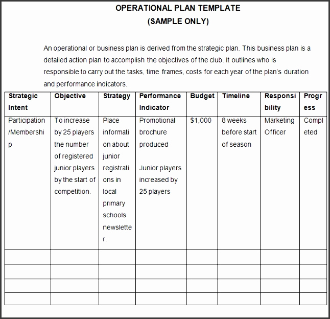 Blank Business Plan Template Word Lovely 9 Operational Plan Template Sampletemplatess