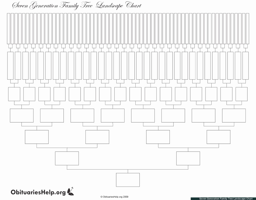 Blank Family Tree Chart Fresh 50 Free Family Tree Templates Word Excel Pdf