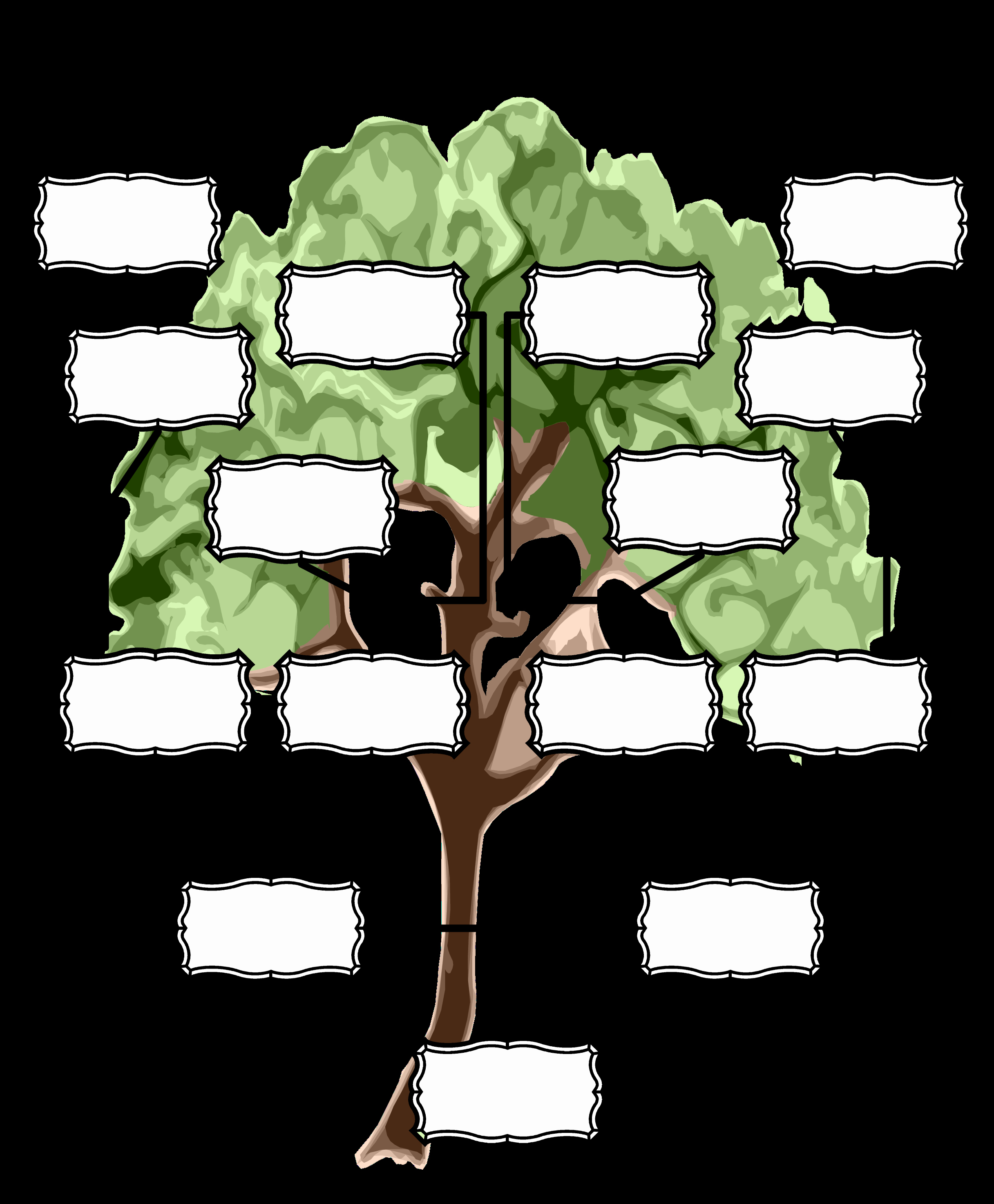 Blank Family Tree Chart Inspirational Free Blank Family Tree Chart