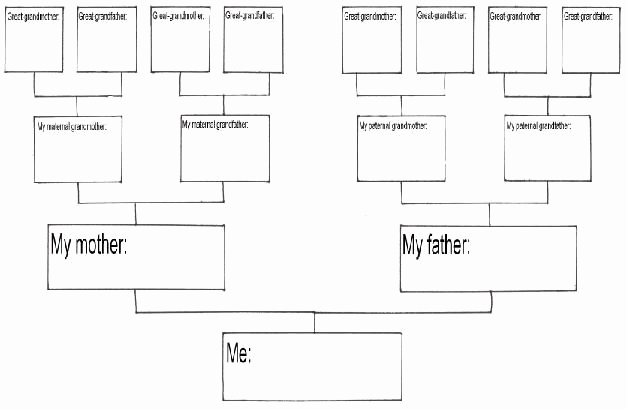 Blank Family Tree Chart Luxury Free Printable Family History Chart