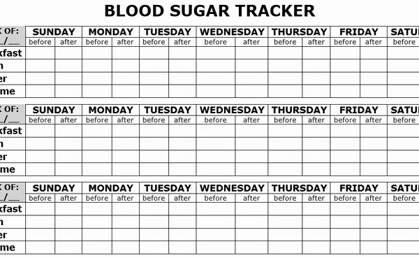 Blood Sugar Chart Pdf Awesome Blood Sugar Log Template In Pdf format Excel Template