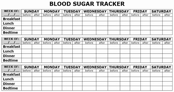 Blood Sugar Chart Pdf Luxury 5 Free Printable Blood Sugar Log Templates
