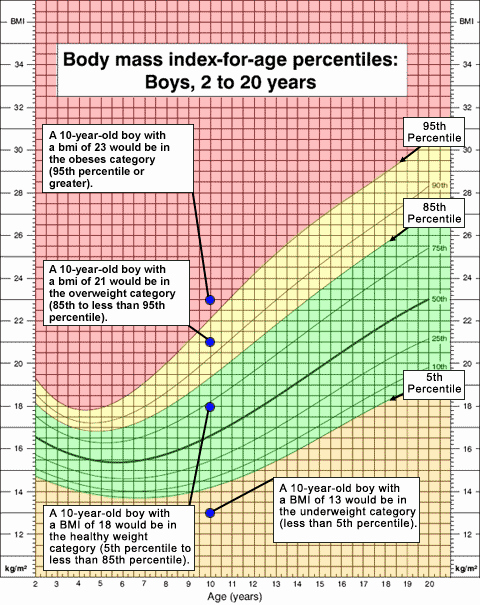 Boys Height Weight Chart Awesome Body Mass Index Bmi