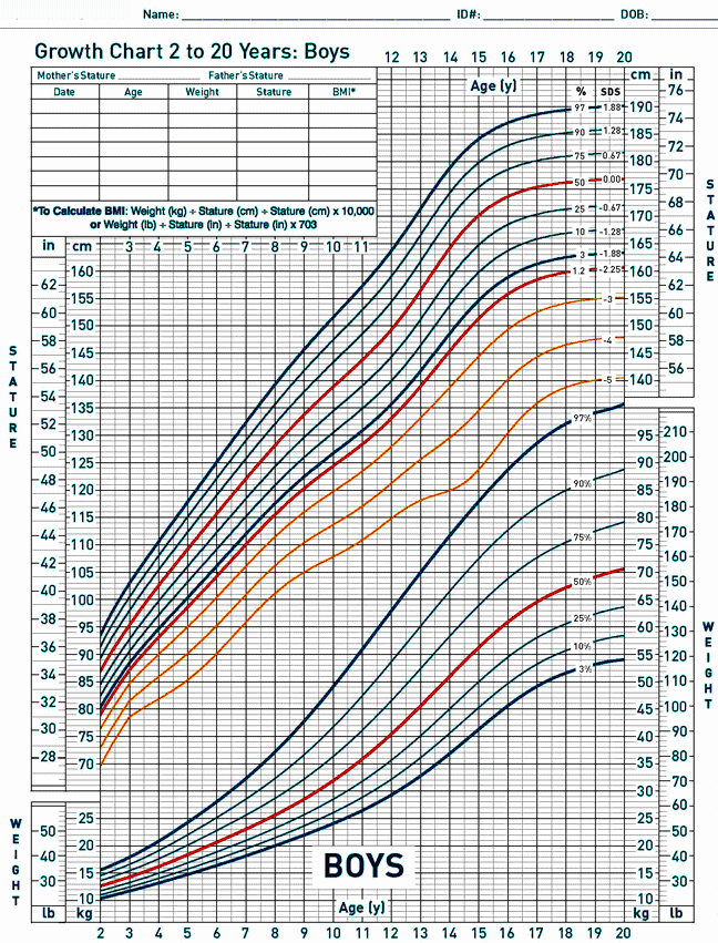 30 Boys Height Weight Chart