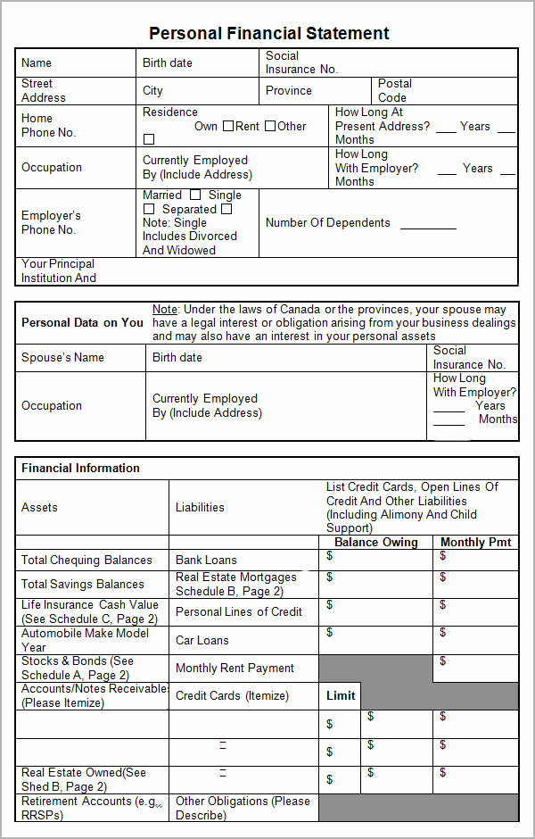 Business Financial Statement Template Awesome Personal Financial Statement Templates 15 Download Free