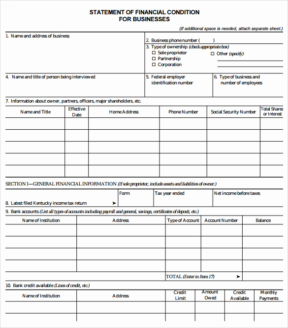 Business Financial Statement Template Beautiful Sample Business Financial Statement form 9 Download