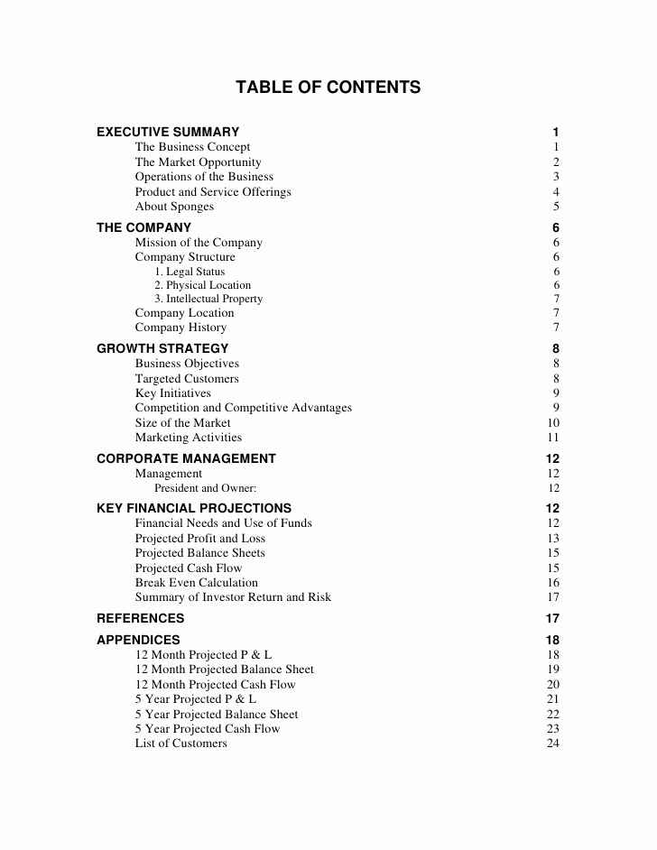 Business Plan Table Of Contents Lovely Sample Business Plan 2