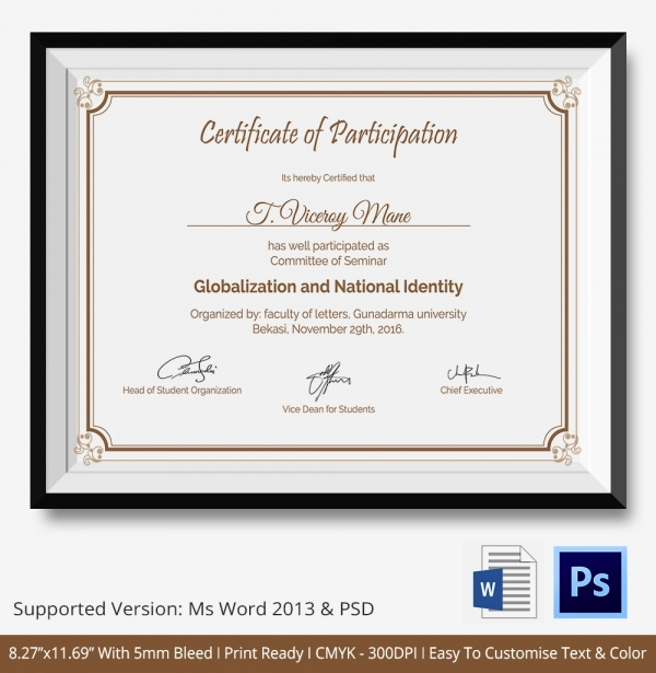 Certificate Of Participation Template New Participation Certificate Template 14 Free Word Pdf
