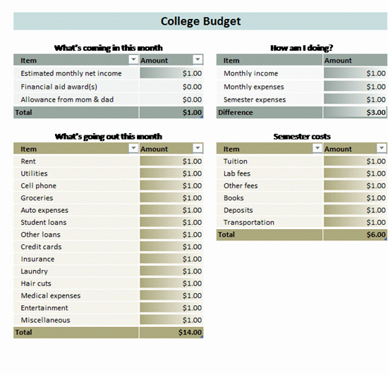 College Student Budget Template Fresh Home Bud Templates