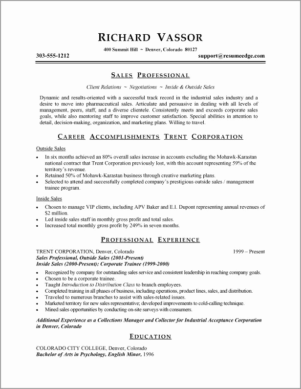 Combination Resume Template Word Unique 25 Best Ideas About Chronological Resume Template On