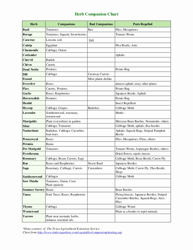 Companion Planting Chart for Vegetables Awesome Ve Able Panion Planting Chart theculvers