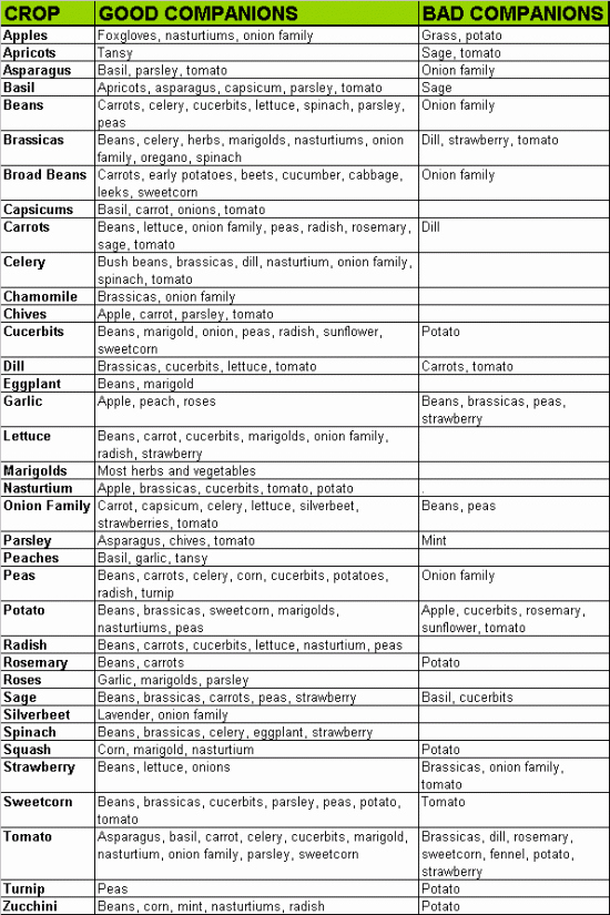 Companion Planting Chart for Vegetables Elegant Panion Planting Chart Lots Great Info Video Tutorial